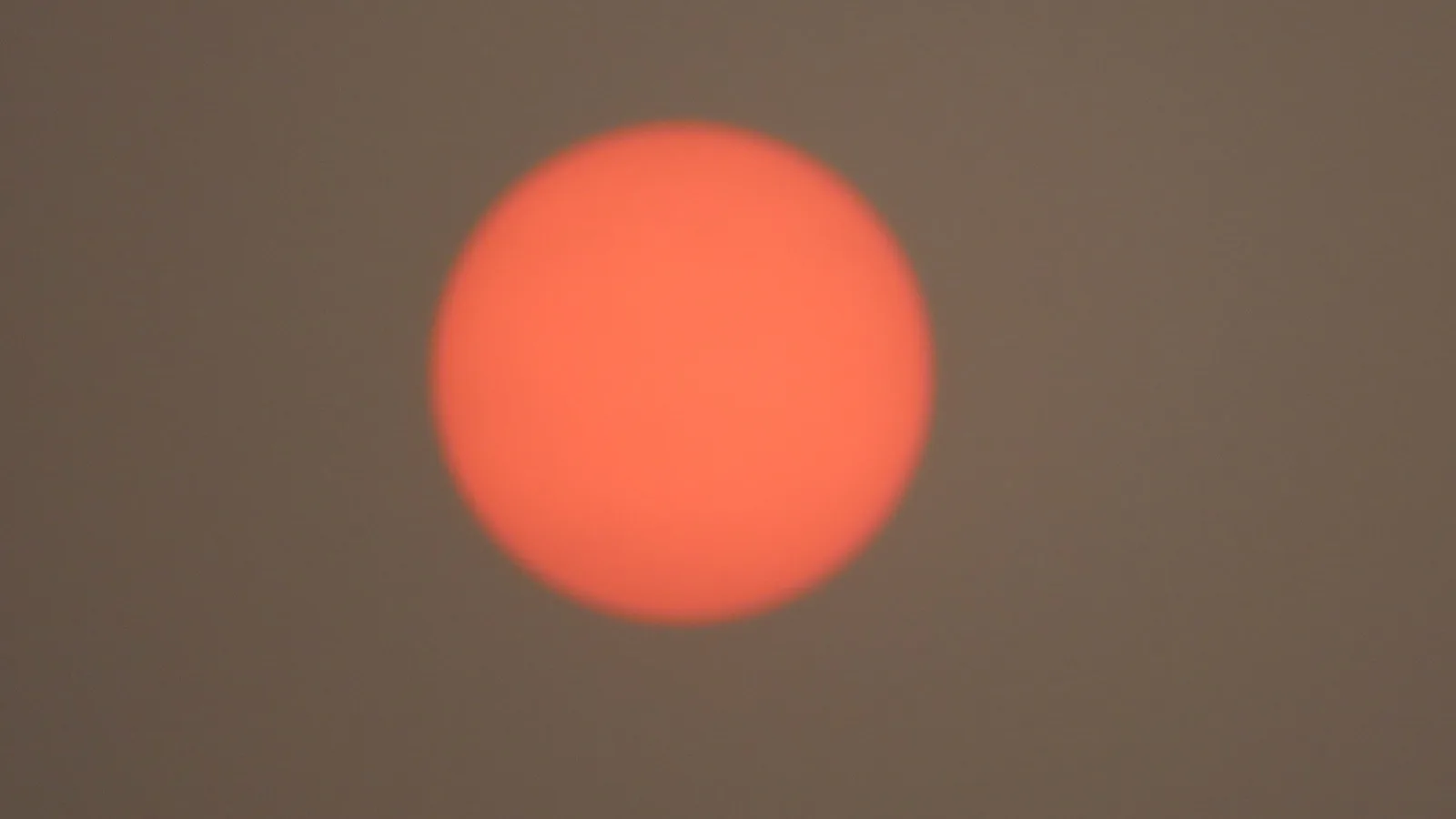Ciel obscurci par la fumée d'un incendie de forêt pendant une vague de chaleur.