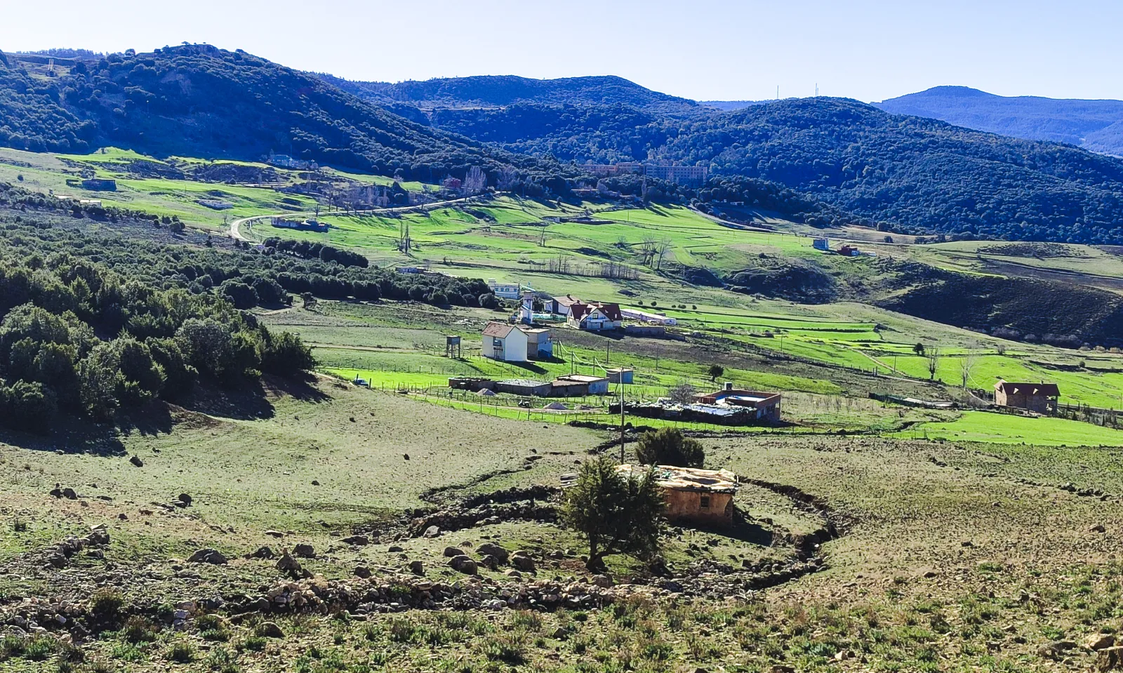 Champ de blé à Ben Smim, au Maroc, illustrant le rôle de l’agriculture dans la croissance 2026.