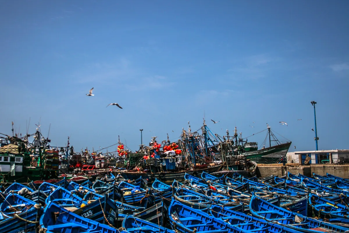 Port d’Essaouira, contexte touristique du festival.
