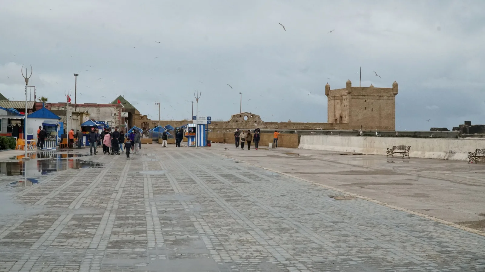 Skala du Port à Essaouira, contexte de destination MOGA.