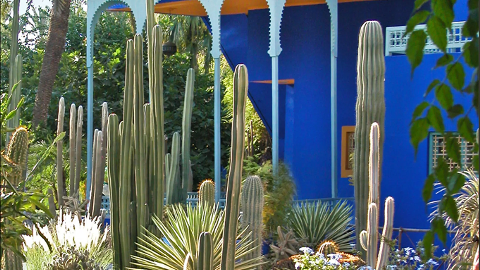Villa and garden in Marrakech illustrating the city’s appeal for real-estate investors.