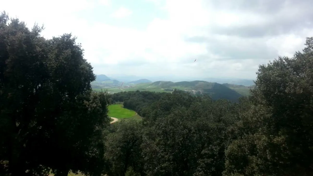 Vue de surveillance en zone forestière, contexte de prévention des départs de feu.